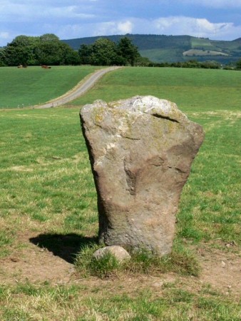 Glennaphuca